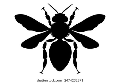 Bee Silhouette isolated black on white background Vector Illustration, Honey Bee Icon, Honey bee insect silhouette.