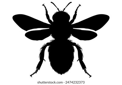 Bee Silhouette isolated black on white background Vector Illustration, Honey Bee Icon, Honey bee insect silhouette.