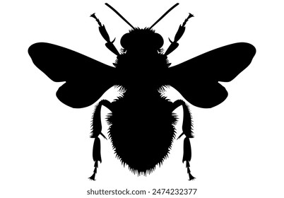 Bee Silhouette isolated black on white background Vector Illustration, Honey Bee Icon, Honey bee insect silhouette.