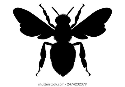 Bee Silhouette isolated black on white background Vector Illustration, Honey Bee Icon, Honey bee insect silhouette.