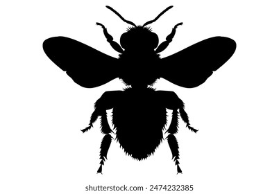 Bee Silhouette isolated black on white background Vector Illustration, Honey Bee Icon, Honey bee insect silhouette.