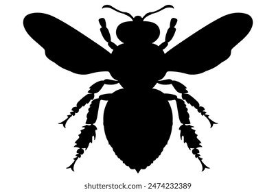 Bee Silhouette isolated black on white background Vector Illustration, Honey Bee Icon, Honey bee insect silhouette.