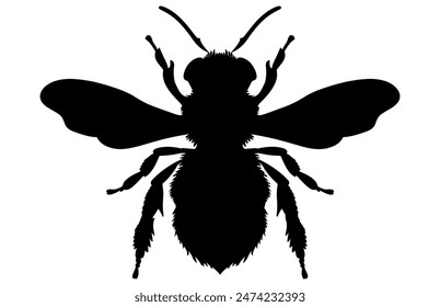 Bee Silhouette isolated black on white background Vector Illustration, Honey Bee Icon, Honey bee insect silhouette.