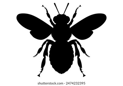 Bee Silhouette isolated black on white background Vector Illustration, Honey Bee Icon, Honey bee insect silhouette.