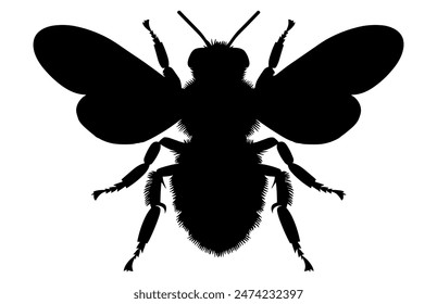 Bee Silhouette isolated black on white background Vector Illustration, Honey Bee Icon, Honey bee insect silhouette.