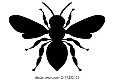 Bee Silhouette isolated black on white background Vector Illustration, Honey Bee Icon, Honey bee insect silhouette.