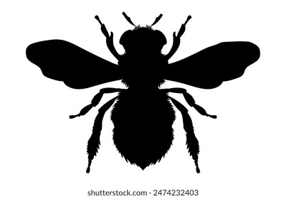 Bee Silhouette isolated black on white background Vector Illustration, Honey Bee Icon, Honey bee insect silhouette.