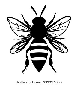 La silueta de abejas aislada de fondo blanco. Icono Vector