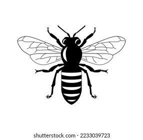 Bienensilhouette auf weißem Hintergrund.