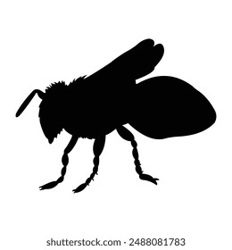 bee silhouette vector design. black on a white background.