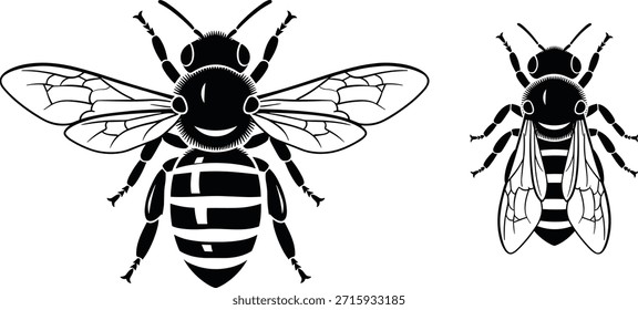 Bee silhouette vector illustration, insect anatomy, black and white design, flying bees, symmetrical wings, nature icon, editable clipart, entomology graphic