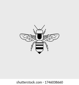 Bee Simple line art illustration