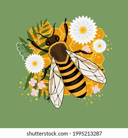 A bee sits on a honeycomb with flowers. Vector image on a green background.