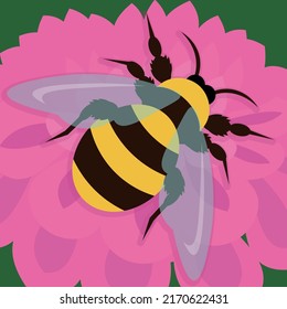 A bee sits on a pink flower