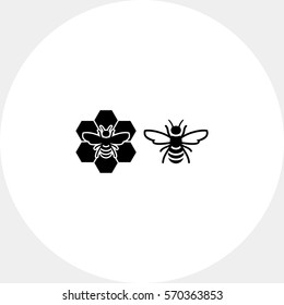 Bee and bee sitting on comb