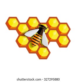Bee sitting on a comb of honey. Vector illustration.