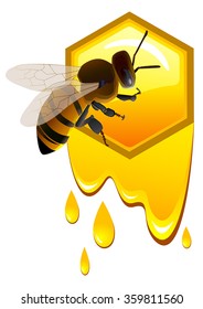 Bee sitting on a honey comb with honey drops