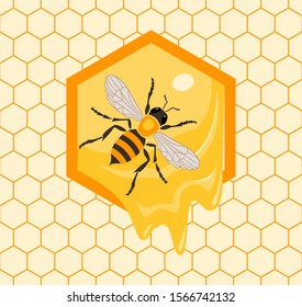 Bee sitting on honeycombs. Colorful seamless pattern.
