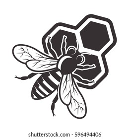 Bee sitting on honeycombs vector illustration in monochrome style isolated on white background