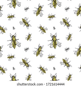 Bee sketch pattern. Hand drawn yellow insect bees on transparent background. Seamless vector backdrop.