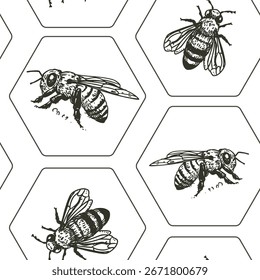 Boceto de abeja, patrón sin fisuras, Ilustración vectorial dibujada a mano, monocromo