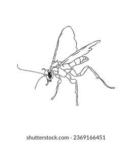 Bee small character sketch design vector 