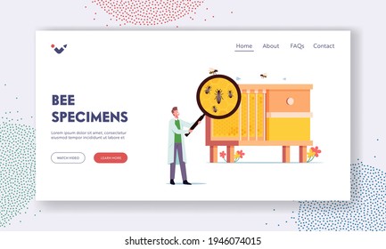 Bee Specimen Landing Page Template. Tiny Scientist Male Character with Huge Magnifying Glass Learning Bees at Huge Beehive with Queen Surrounded with Workers on Honeycombs. Cartoon Vector Illustration