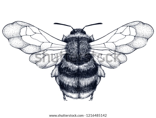 Image Vectorielle De Stock De Tatouage D Abeilles Tatouage En Damier Symbole 1216485142