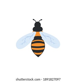 bee top view. flat isolated 2d vector