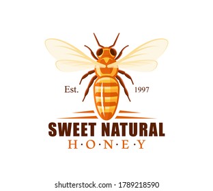 Bee, top view isolated on white background. Honey label, logo, emblem concept. Vector illustration