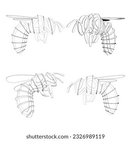 Biene Vektor 01. Illustration einzeln auf weißem Hintergrund. Eine Vektorgrafik von Bienen.