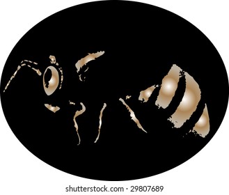 bee vector