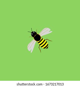 Bee Vector . Animal Design . Icon 
