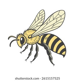 A Bee Vector art illustration 