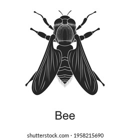 Bee vector black icon. Vector illustration pest insect bee on white background. Isolated black illustration icon of pest insect.