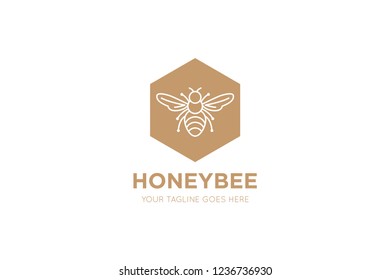 bee vector. bee cartoon. bee logo design Template. Vector Illustrator Eps.10