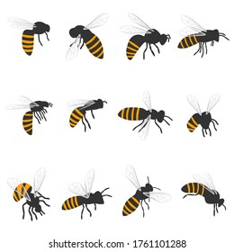 Bee vector cartoon set isolated on a white background.