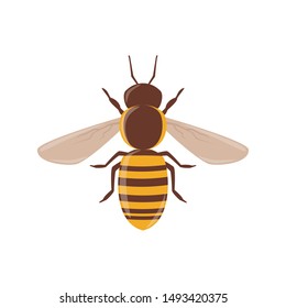 Pintura de vector de abeja, diseño de estilo de caricatura aislado.