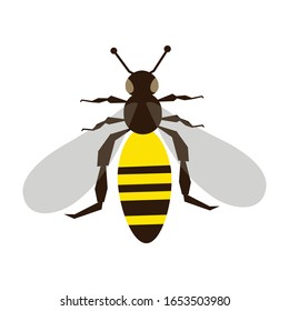Bee vector design, bee animal vector art icon logo