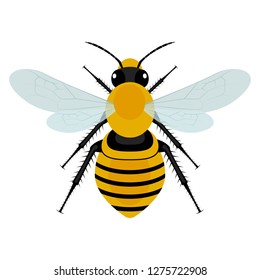 Bee vector design illustration isolated on white background