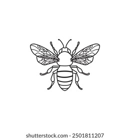 Bee Vector, HoneyBee Vector, Bee Image, HoneyBee Drawing