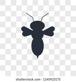 Bee vector icon isolated on transparent background, Bee logo concept