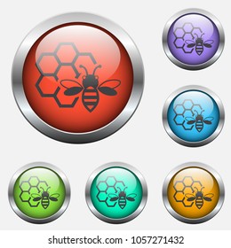 bee vector icon on color glass buttons