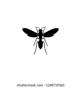 bee vector icon. bee sign on white background. bee icon for web and app