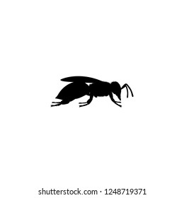 bee vector icon. bee sign on white background. bee icon for web and app