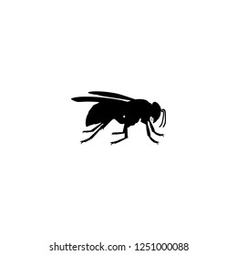 bee vector icon. bee sign on white background. bee icon for web and app