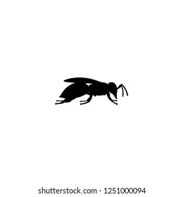 bee vector icon. bee sign on white background. bee icon for web and app