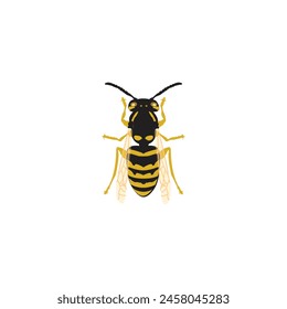 bee vector , bee icon white background eps