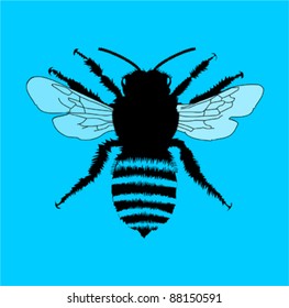 Bee - vector illustration