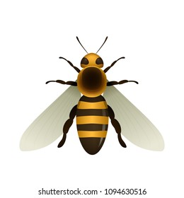 Bee Vector Illustration Isolated On White Stock Vector (Royalty Free ...